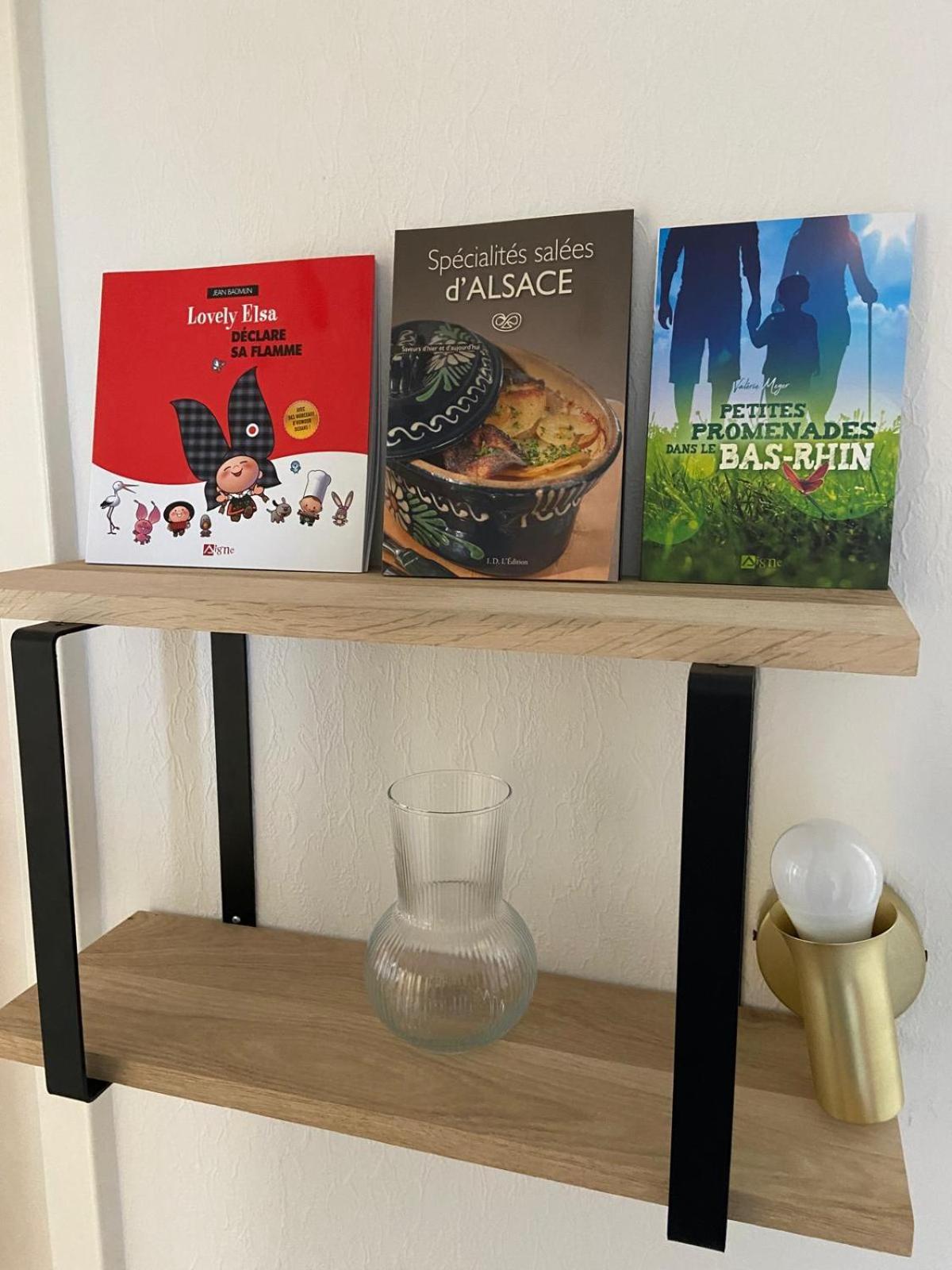 Joli Appartement Proche Gare Molsheim Eksteriør billede